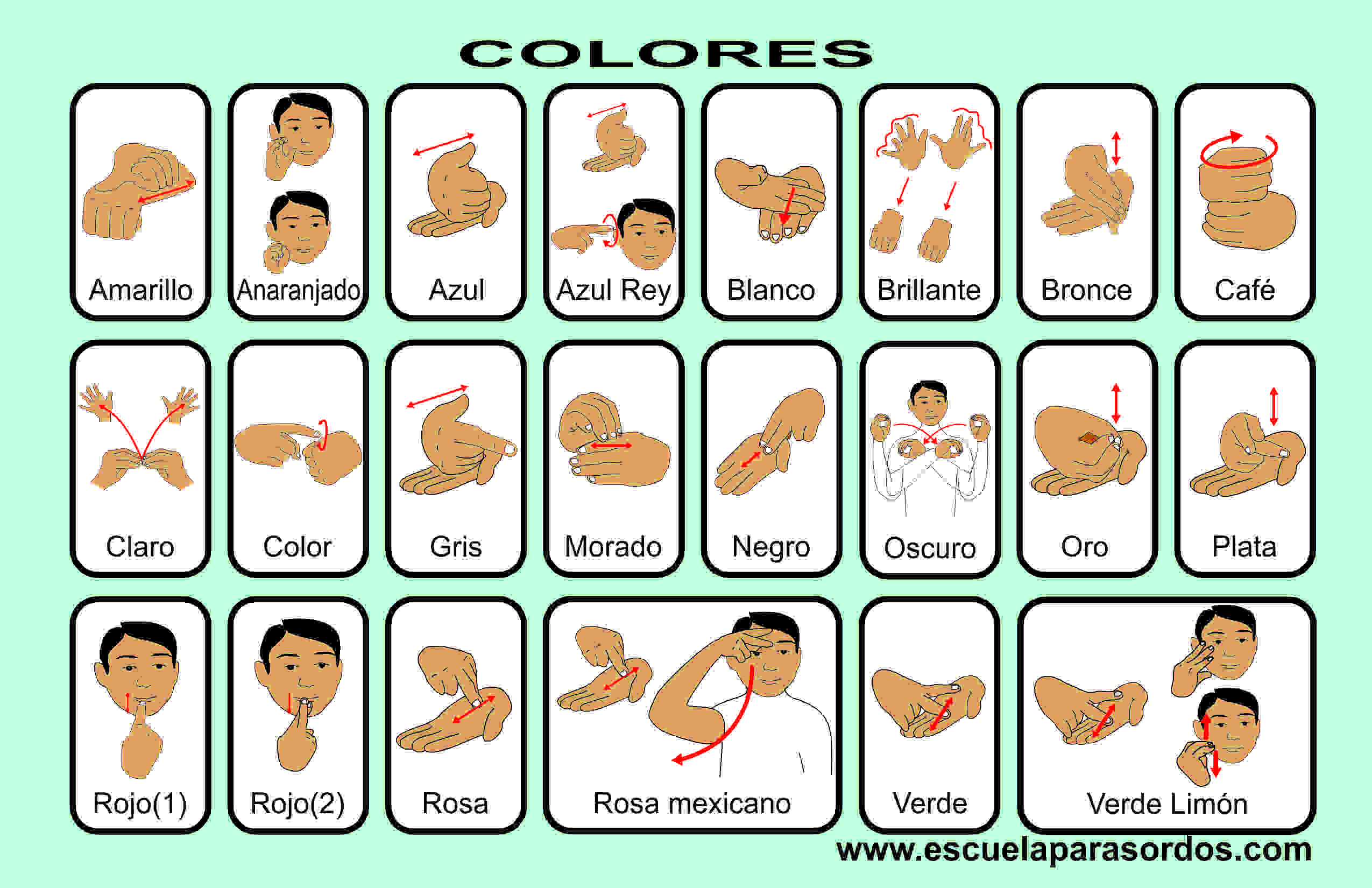 LENGUAJE MANUAL lenguaje manual: